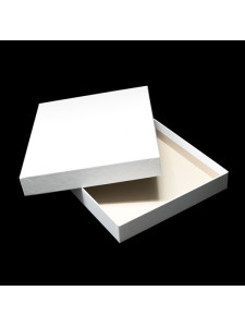 Caja Juegos Blanca - 1.6" (40mm Profunda) MATE