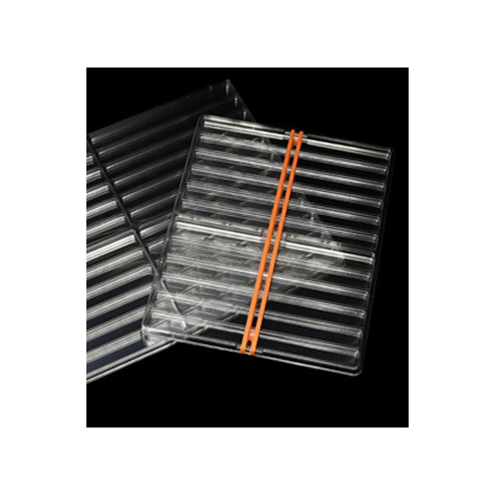 SMALL 13mm Counters Tray: 12 Rows - SIN TAPA