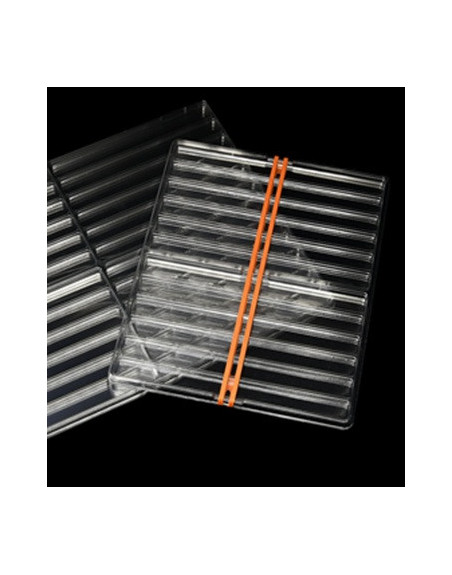 SMALL 13mm Counters Tray: 12 Rows - SIN TAPA