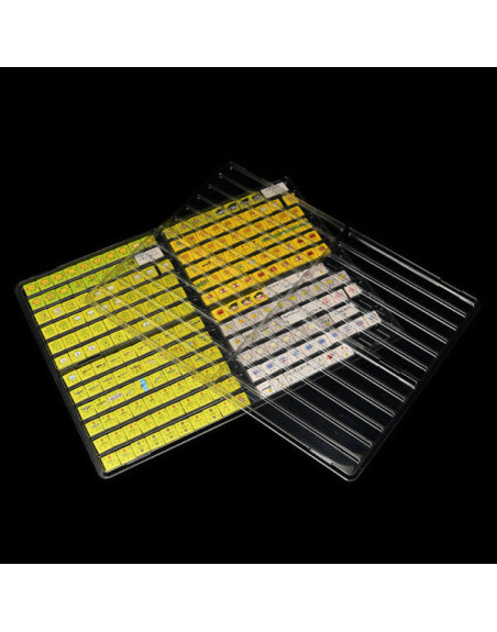 21mm Counters Tray: 24 Filas - Sin TAPA
